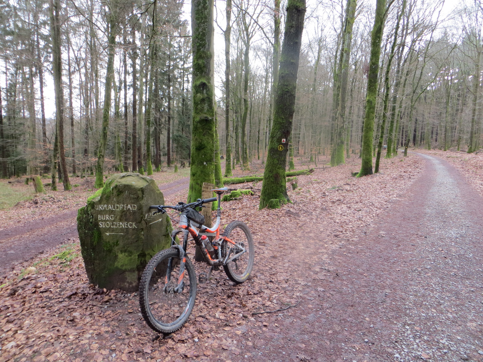 Planung Mountainbike-Beschilderung für die Stadt Eberbach